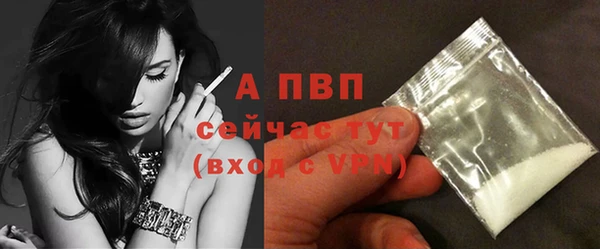 индика Пролетарск