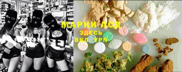 стаф Баксан