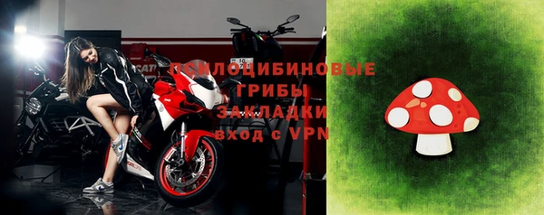 стаф Баксан