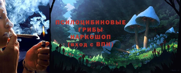 стаф Баксан